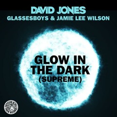 David Jones & Glassesboys & Jamie Lee Wilson - Glow In The Dark (Supreme) (Glassesboys Vocal Remix)
