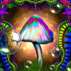 The Brand New Adventures Of  KUNG-FU-KEN (Revitalised)