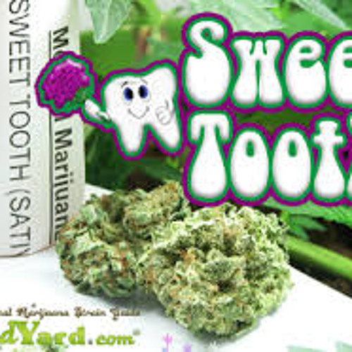 ProtosoniX - Sweet Tooth [FREE DL IN DESCRIPTION]