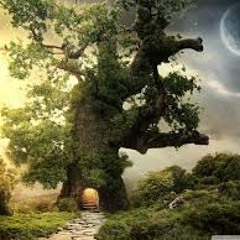 Pack Your Bags - K - Bow