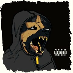 DOGTOWN x BINTA KAI
