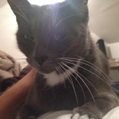 if you're bored and like noise