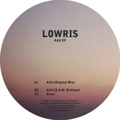 Lowris - AAA (S.A.M. Reshape) - Concealed 005