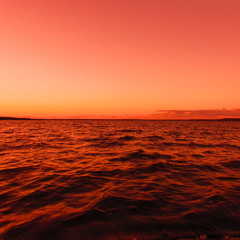 Never Close - Sean Murphy