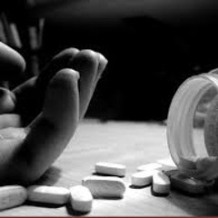 La cajita moca - Cosa Custode 2014