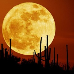 Night On Bald Mountain