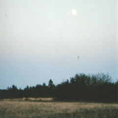 Where You Lead Me, I Will Follow