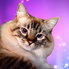 Green Arrow (Yo La Tengo cover)