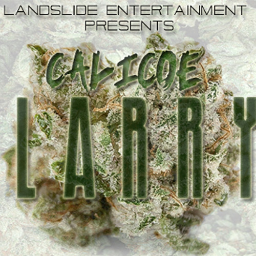Larry - Calicoe
