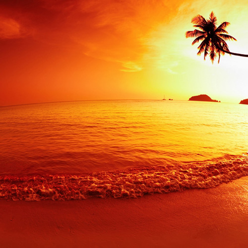Sunset & Solid Skill- Alive (Motus-Benevolentia Remix) FREE DOWNLOAD