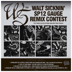 Walt Sicknin'  – SP-12 Gauge (nechelovechii beats remix)
