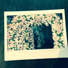 Pete Rockin' (DJ Harrison Cover)