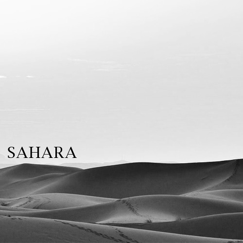 Bryan Salinas - Sahara (Original Mix)OUT NOW!
