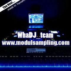 Sakitnya Tuh Disini - Cita Citata Ft Team Modulsampling.MP3