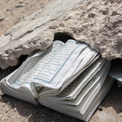 من كرم الله وجوده سبحانه أنه يحب العفو - الشيخ الشنقيطي