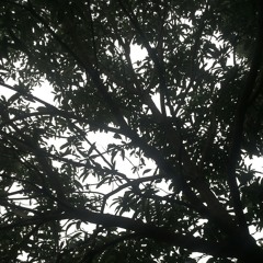 คล้ายๆ