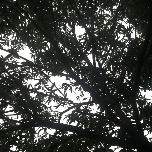 คล้ายๆ