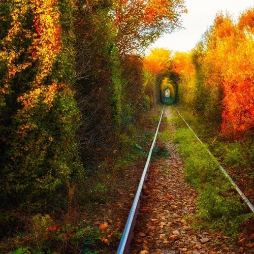 Mr.Within's Dream ∞ 16/10/14 ∞ Beautiful Music Daily