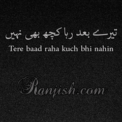 Tere Baad Raha Kuch Bhi Nahin