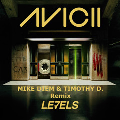 Avicii - Levels (Mike Diem & Timothy D. Remix)