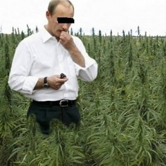 Гашиш