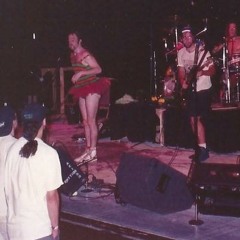 The Blüchunks - Show And Tell