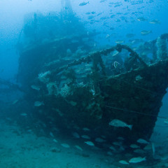 Tell Me I'm a Wreck Remix