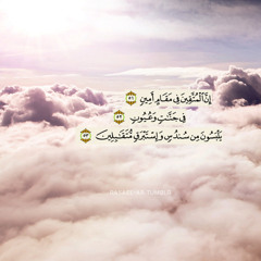 يوما ما ..سنلتقي🐣