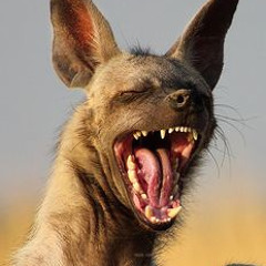 Leftfield Dj Mix - Banging Hyena (Oct 2014)