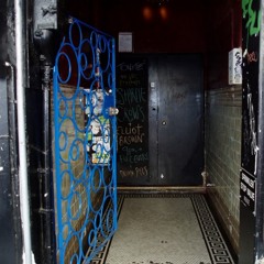 Dunedin-Sound (4) - Ein Neuseelandabenteuer NZ15-T4k (Rohfassung)