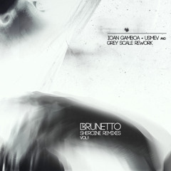 Brunetto - Kuklinski feat. ACCD (Ioan Gamboa Remix)