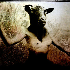 "Black Horse" City of Fire