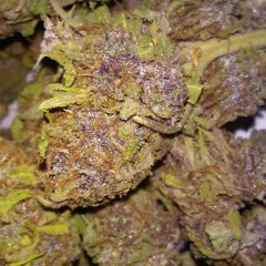 Fresno,CA at Fresno,CA