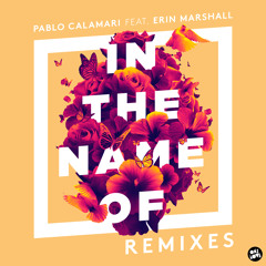 PABLO CALAMARI FT. ERIN MARSHALL - IN THE NAME OF (LINIER REMIX)