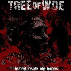 The New American Dream