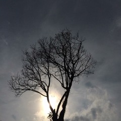 แค่นั้นเอง - ปลานิลเต็มบ้าน