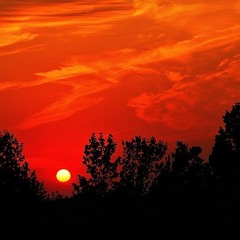 Ben Whelan and the Reach Arounds- Dirty D Funk - Buffalo 9/27/14
