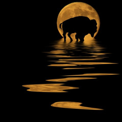 Ben Whelan and the Reach Arounds- Moonlight Tide (Funktional Flow) Buffalo 9/27/14