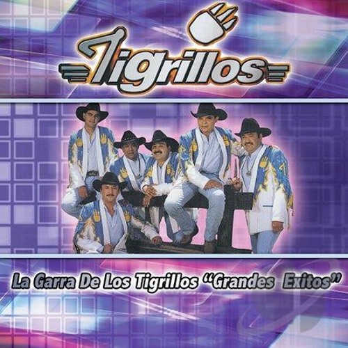 TIGRILLOS Lupe