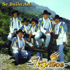 TIGRILLOS Se Baila Asi