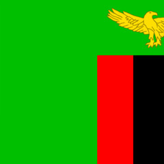 Zuba Yanga - Nafuti Nafuti