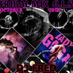 TRIBAL MIX DJ FRED G.L.S. OCTOBER 2014