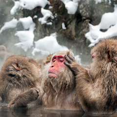 Chilly Springs Mountain