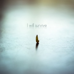 J2 Ft Blu Holiday - I will survive )