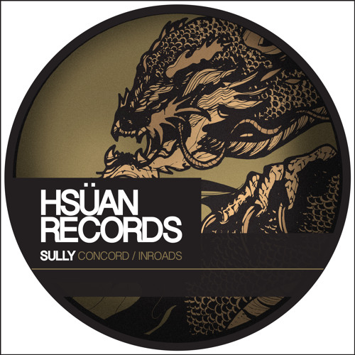 Sully Inroads HSN013