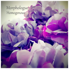 Morphologue - Homogenous