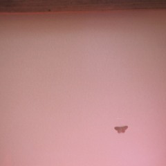 Our religion (feat. Angela)