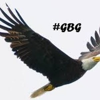 Fly Like An Eagle Mp3