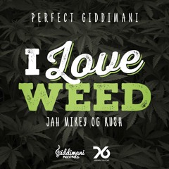 Perfect Giddimani - I Love Weed