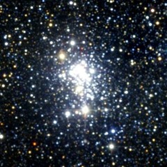 Tranquil progressives Tech